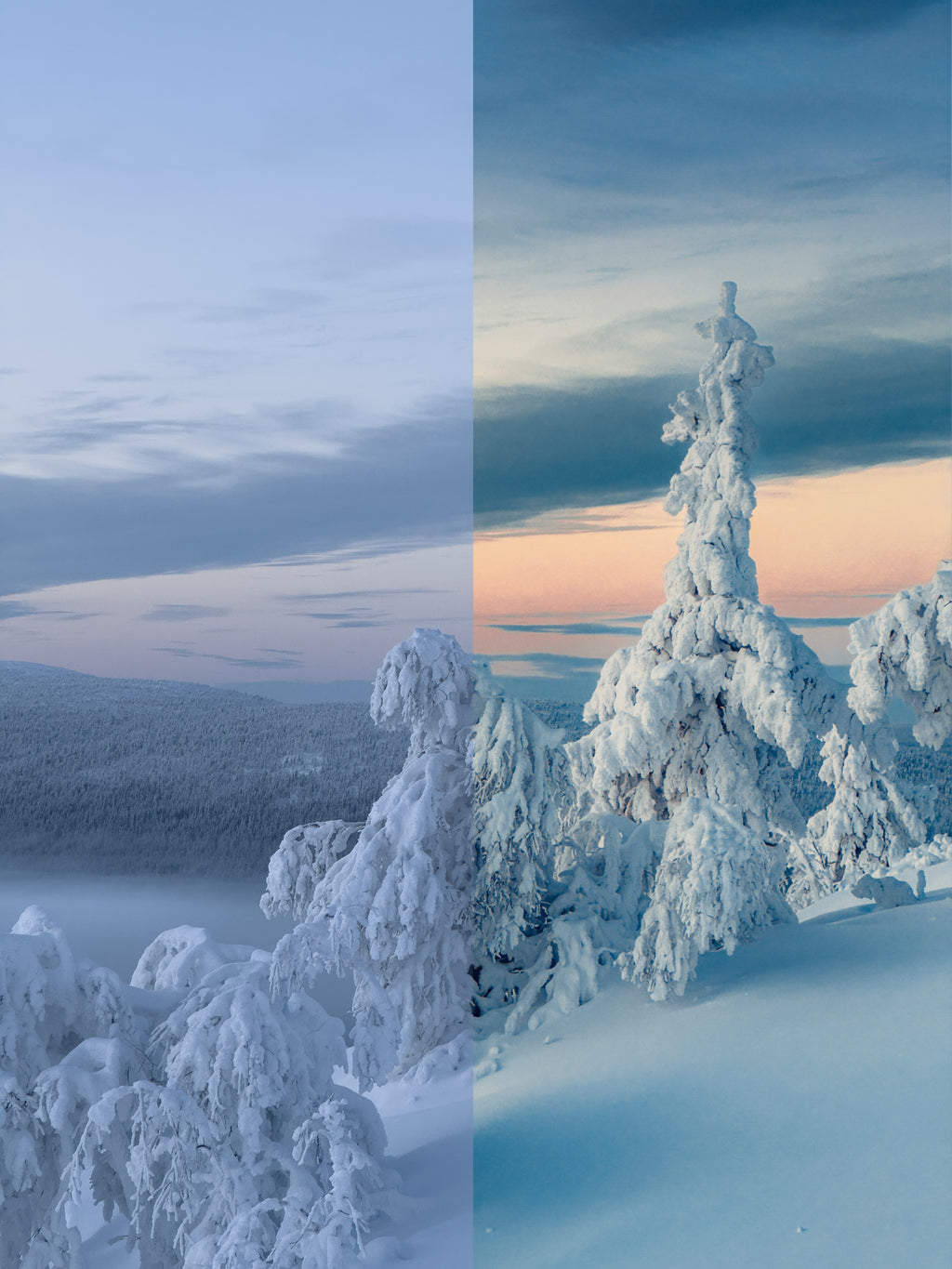 Winter Wonderland Preset Bundle