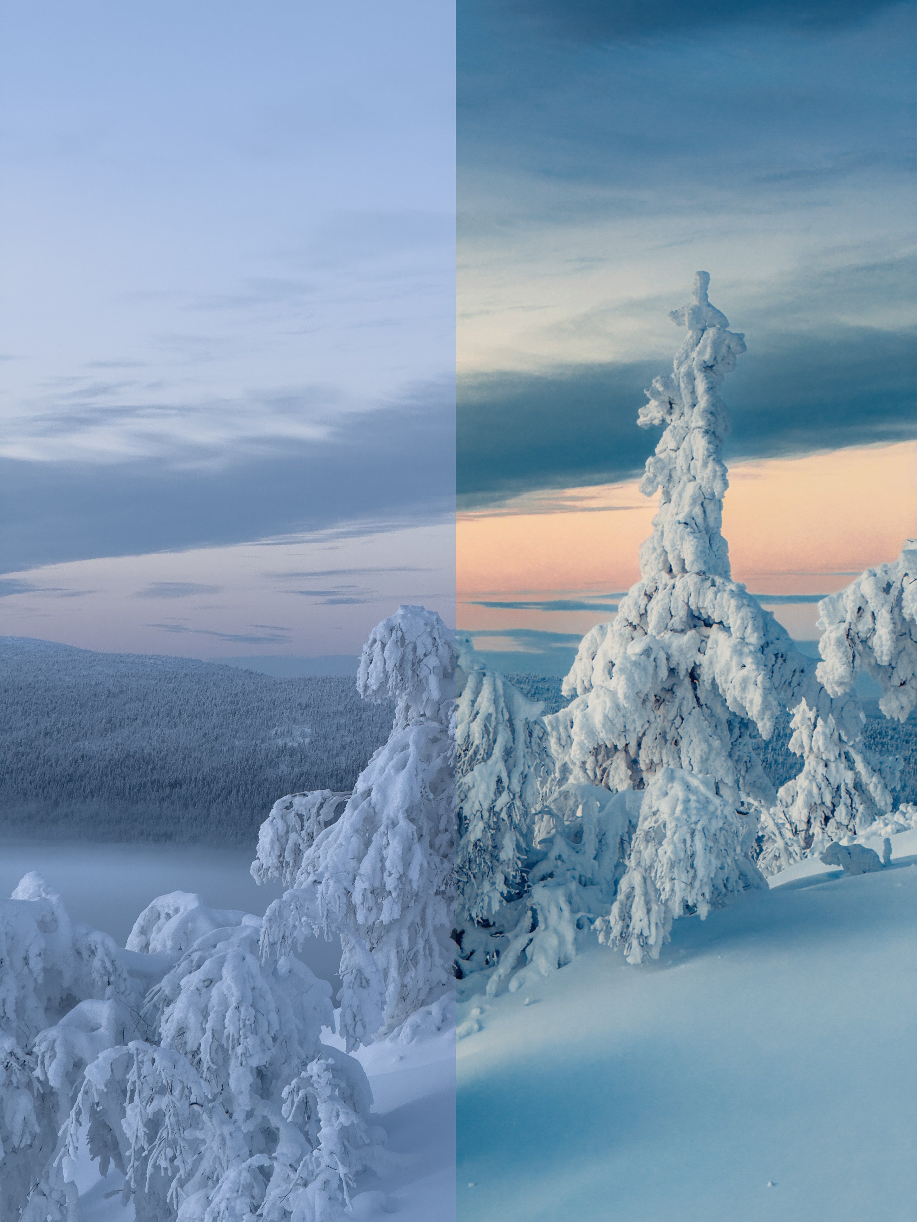 Winter Wonderland Preset Bundle