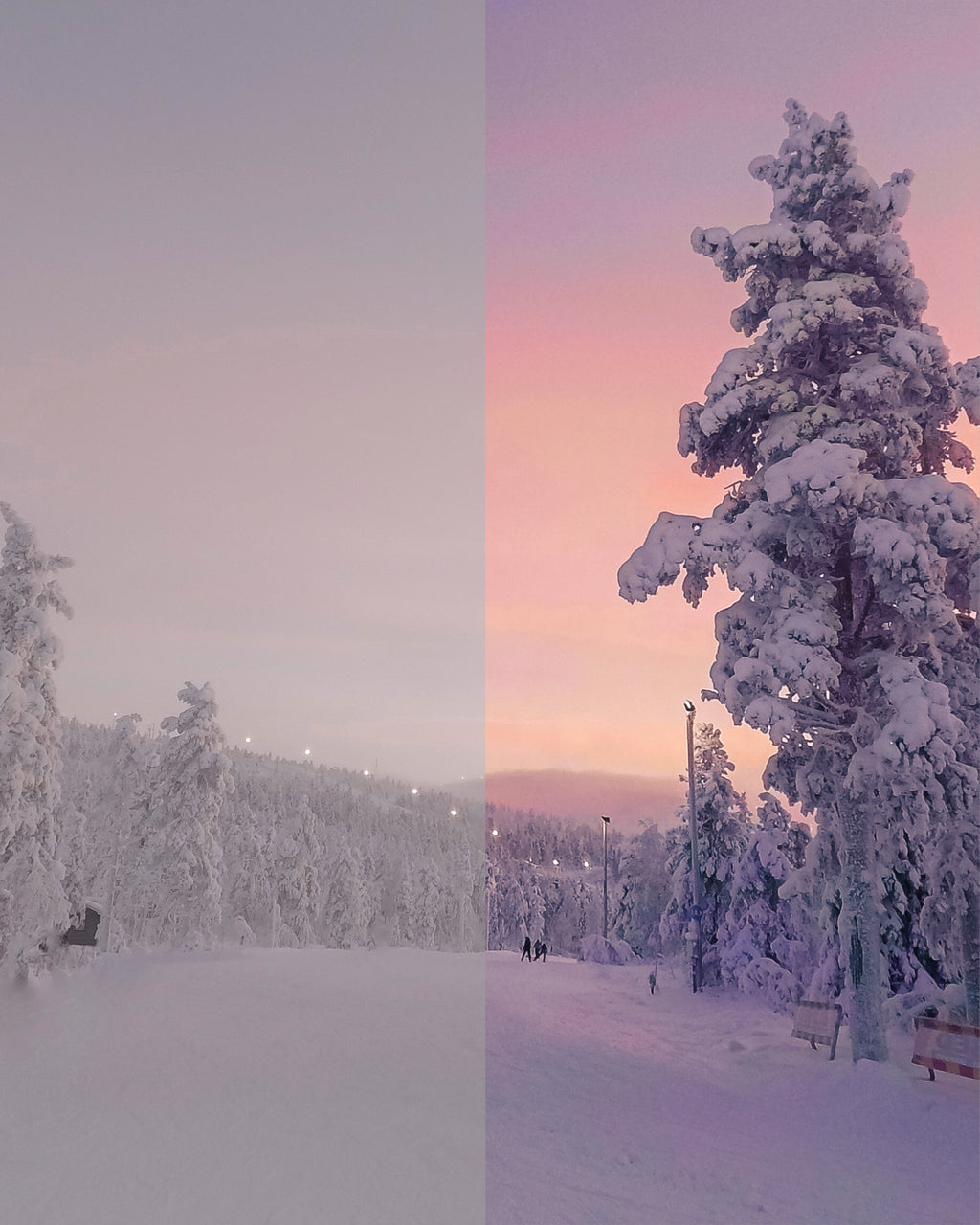 Winter Wonderland Preset Bundle